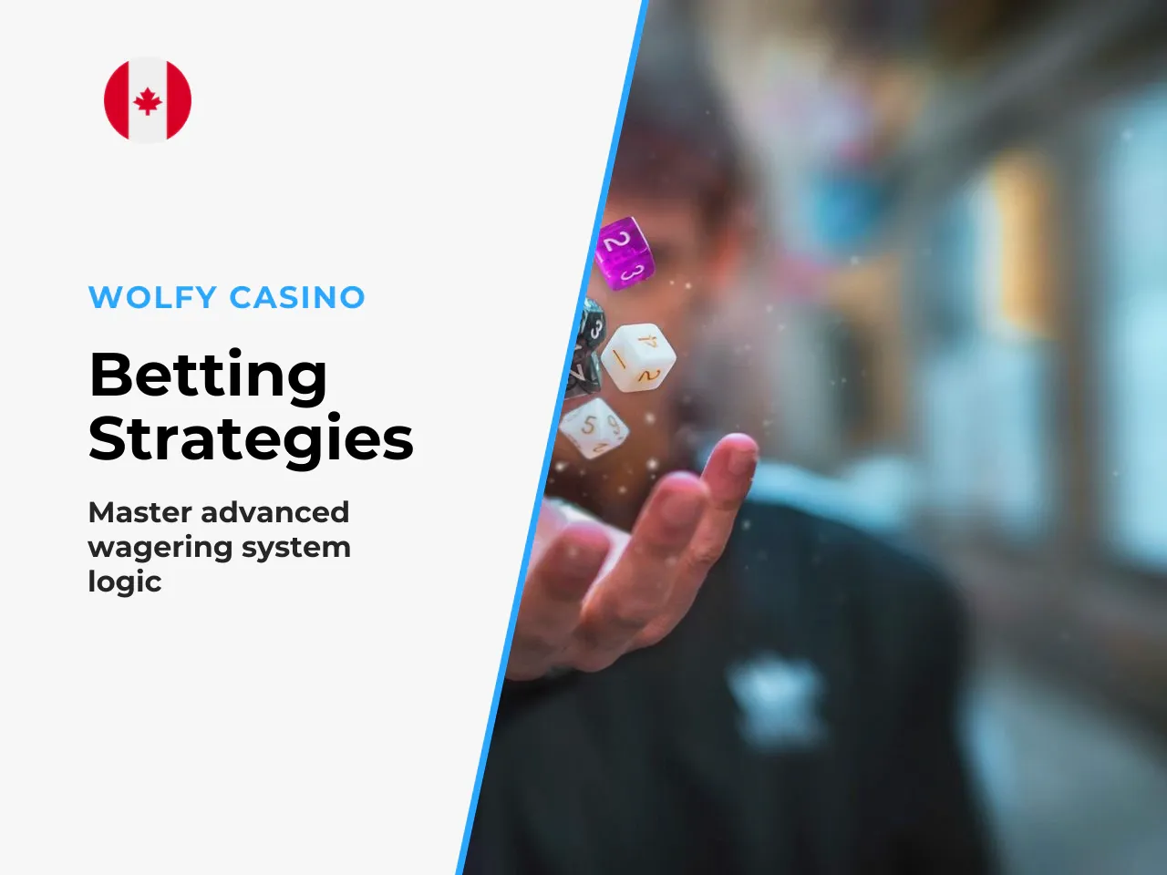 Betting Systems Martingale, Anti-Martingale and Ladder
