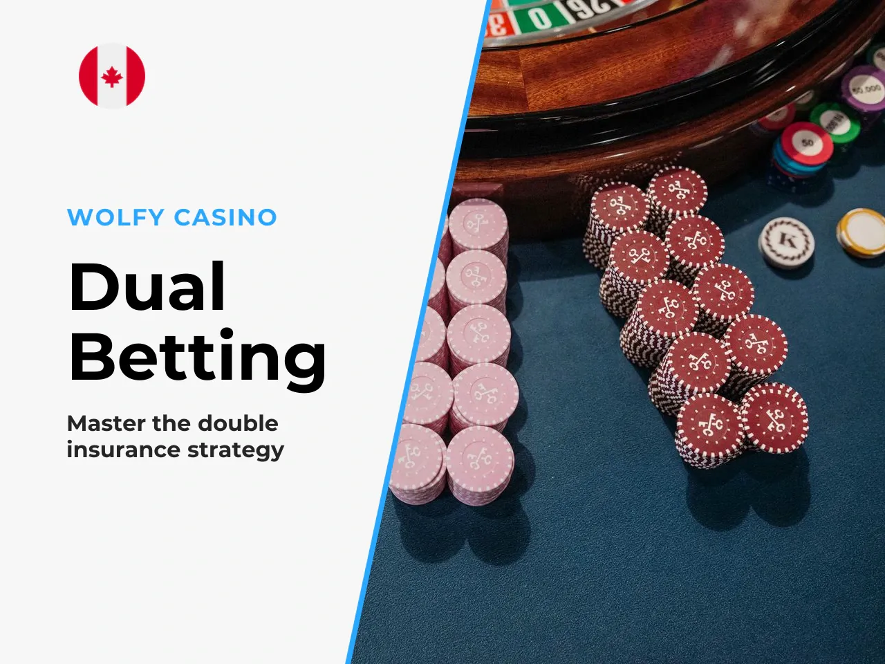 14.1 Dual Betting the insurance model