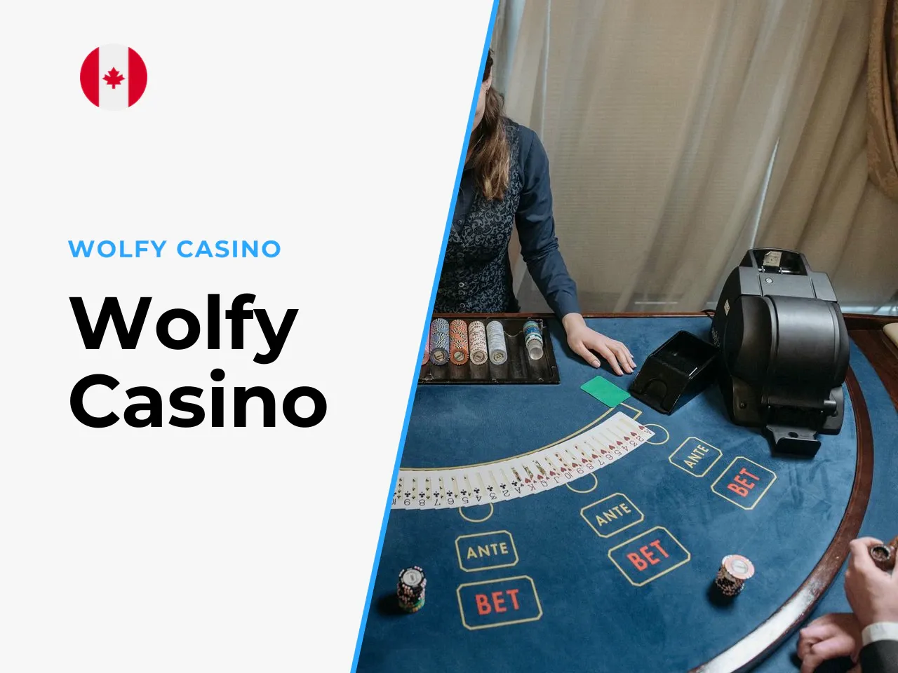 Wolfy Casino heading-banner
