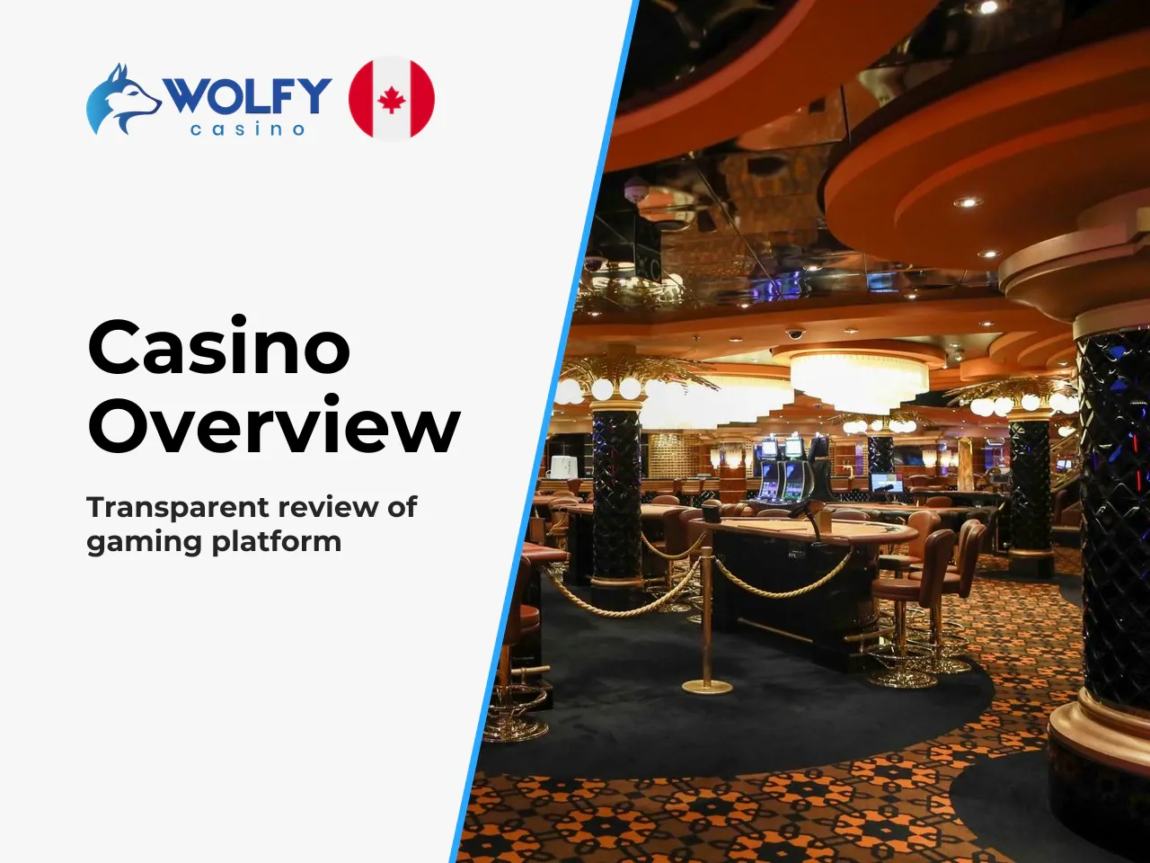 Wolfy Casino as an Online Gambling