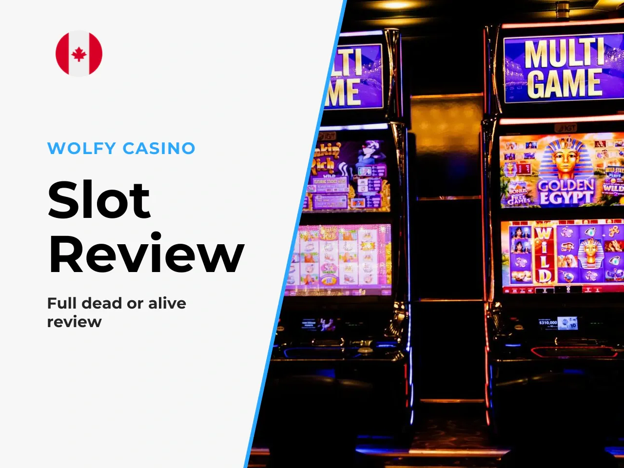 Dead or Alive 2 Slot Review