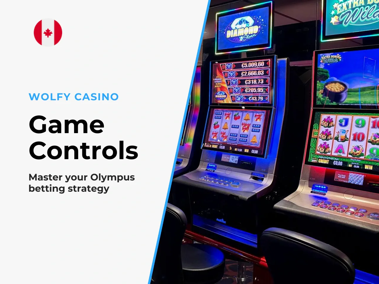 Game Interface and Bet Controls. The