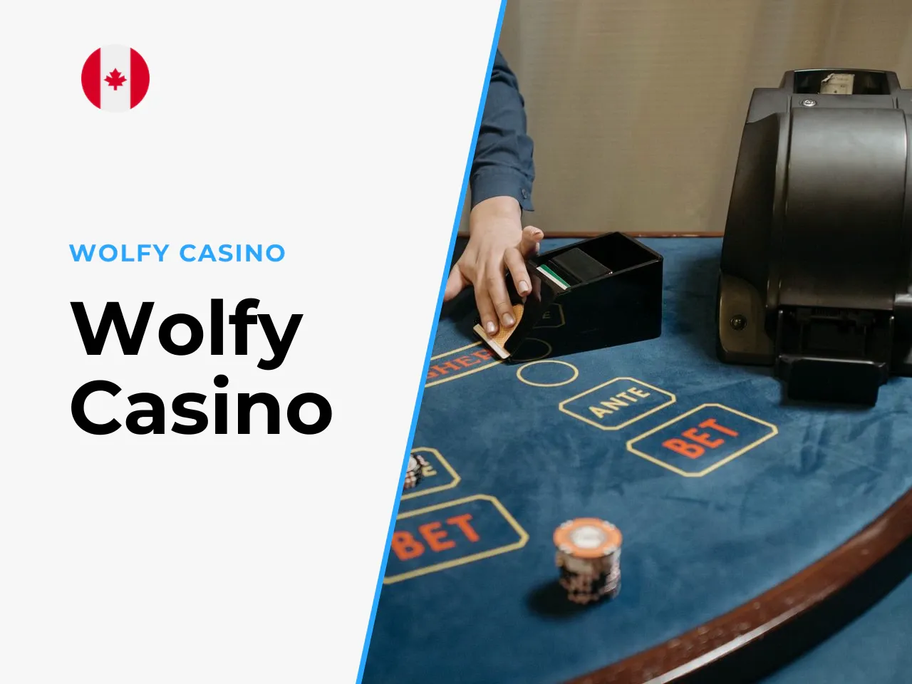 Wolfy Casino heading-banner