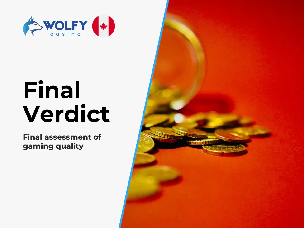 11. Conclusion Synthesis and Recommendations. Wolfy