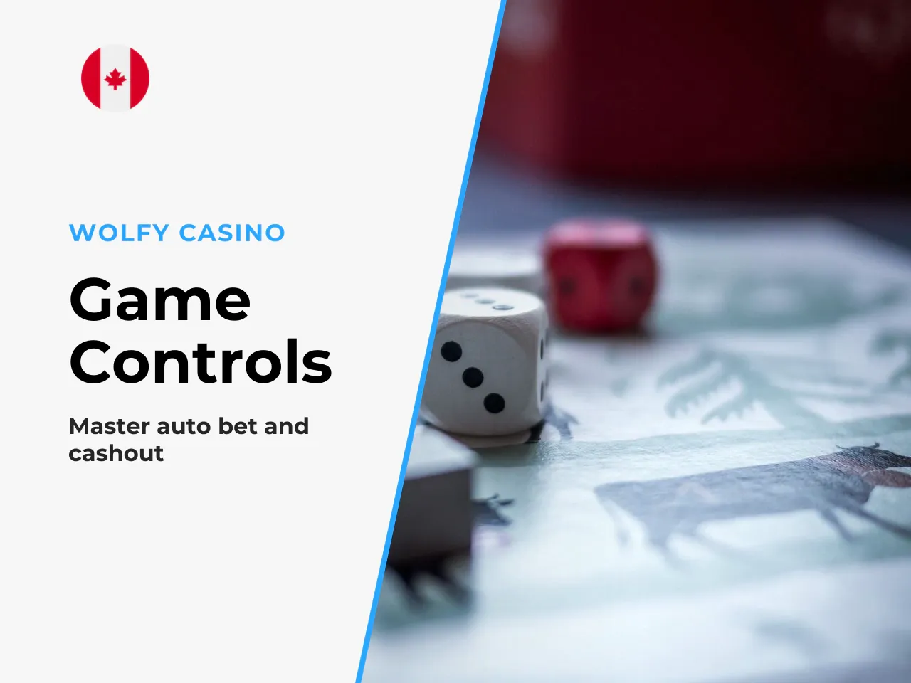 Control Panel The Difference Between Auto-Bet