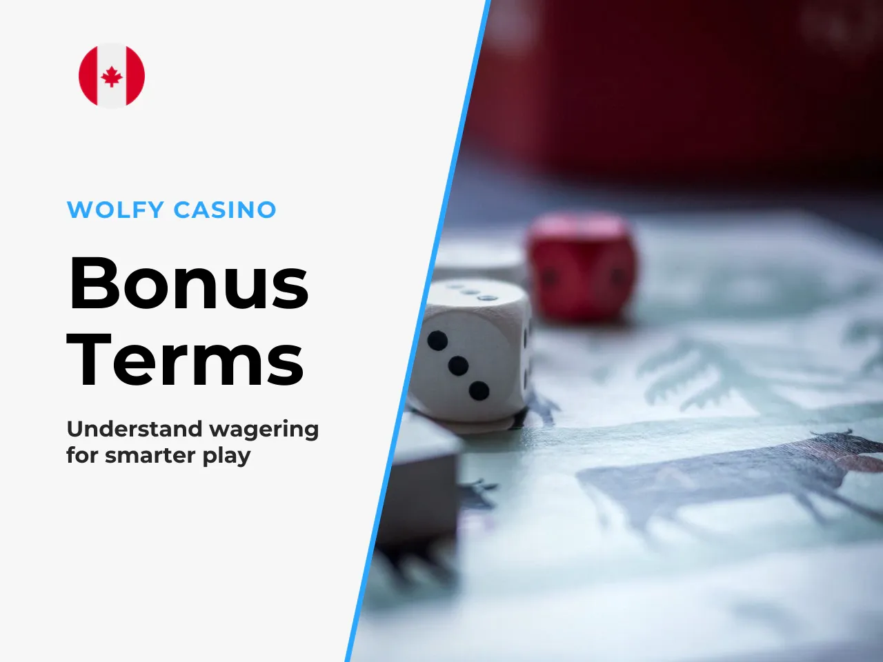 Bonus terms are where Plinko players