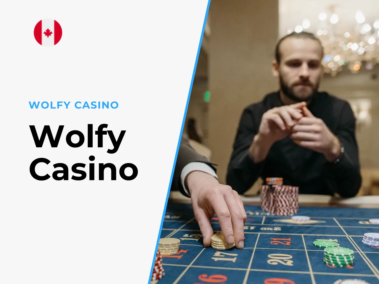 Wolfy Casino heading-banner
